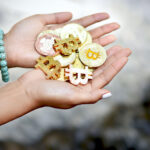 executium-Fg6lqLS4jWE-unsplash