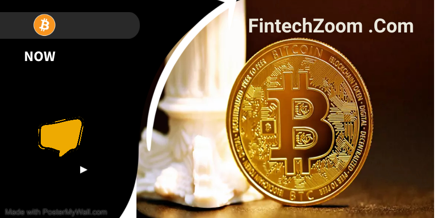 fintechzoo .com